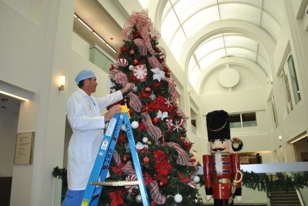 Dr. Steven Barnett Trims the HOI Tree 