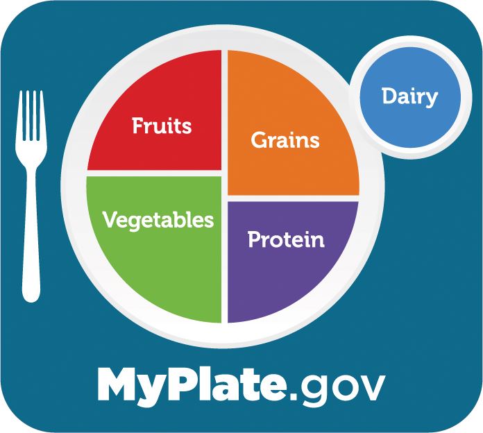 My Plate Blue